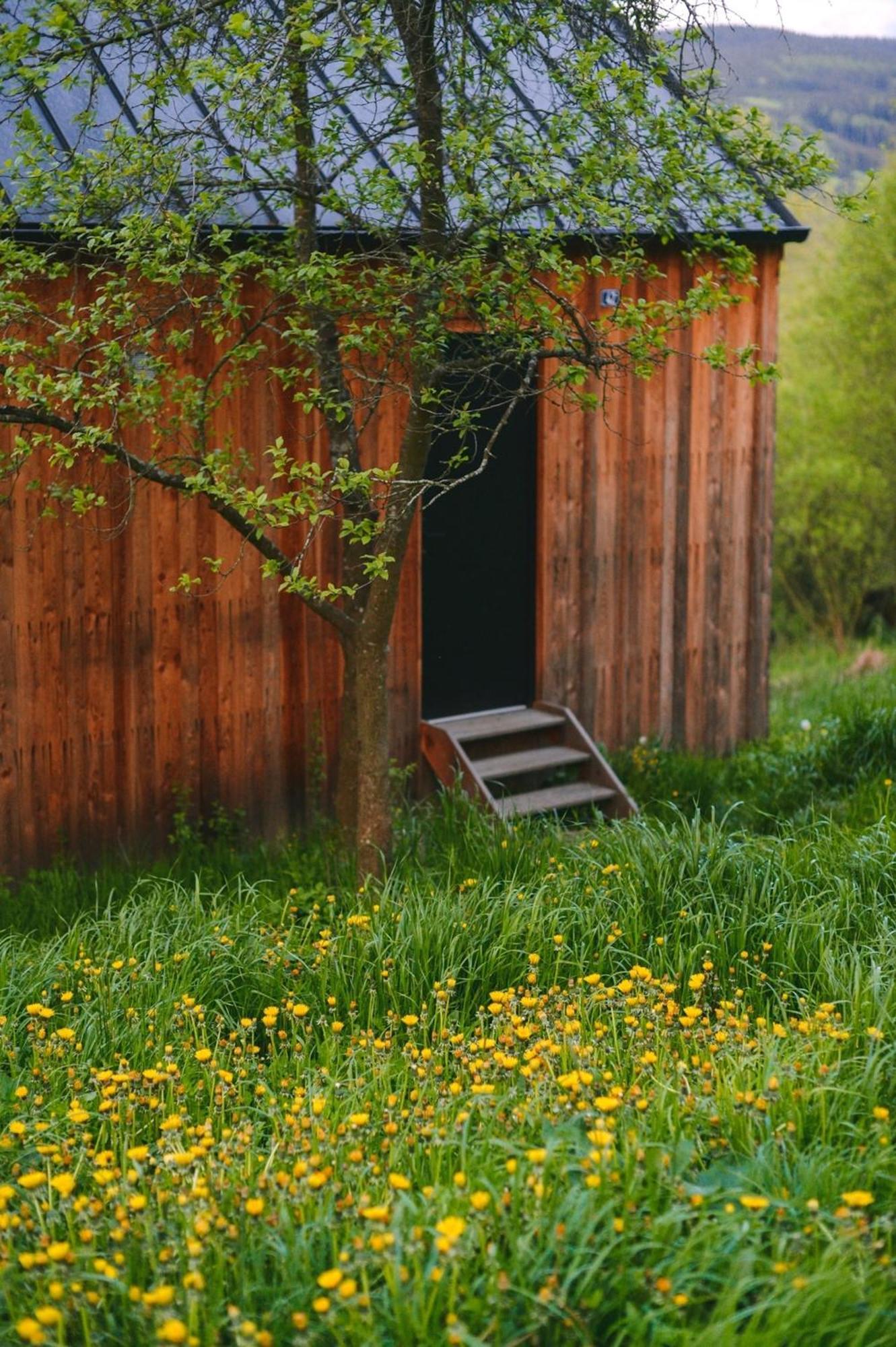 Tri Domky - Tiny Houses Depoltice Exterior photo